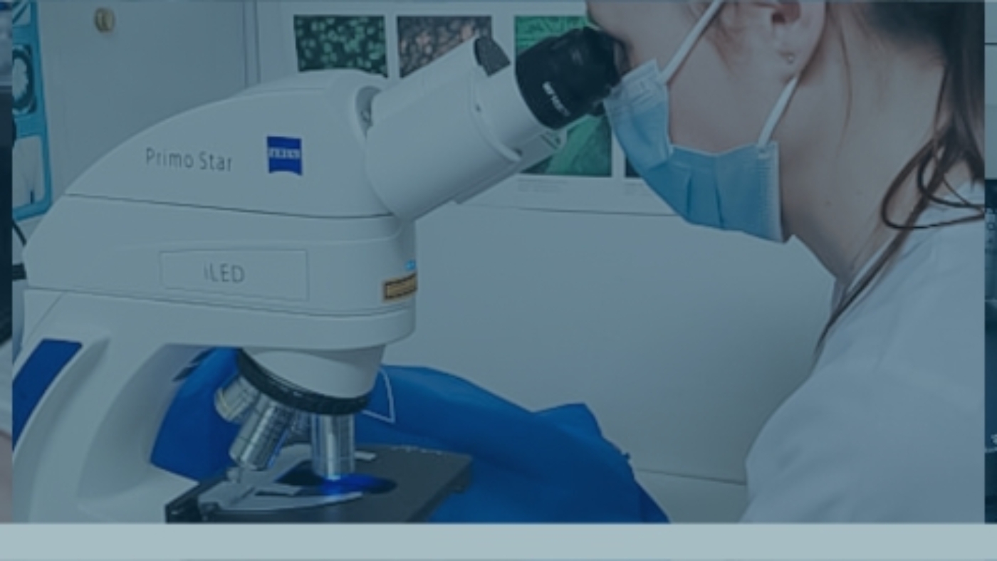 BANNER WEB MICROSCOPIO